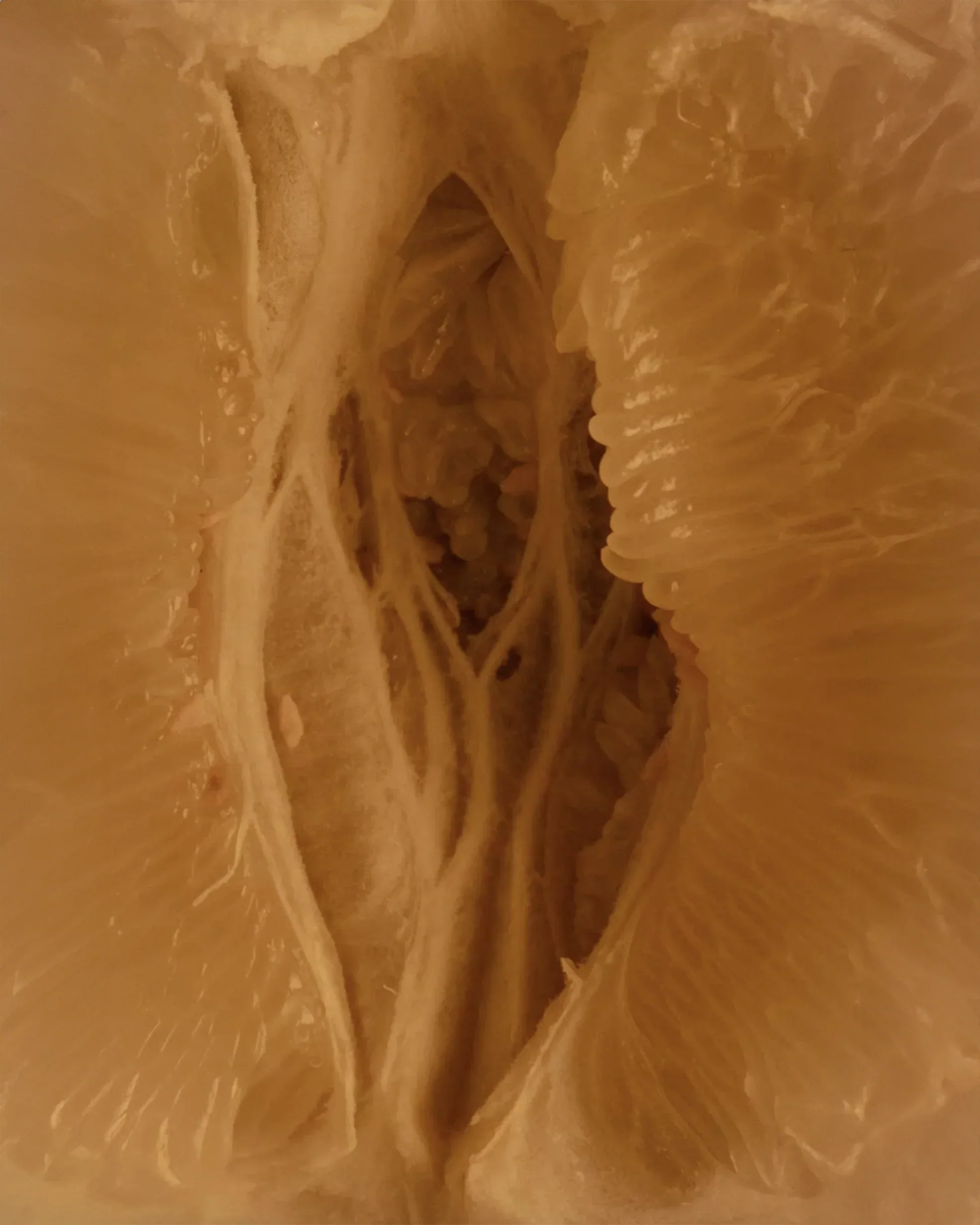 Can Lube Cause Infections? What to Know About BV, Yeast, and Vaginal Balance - goodkittyco