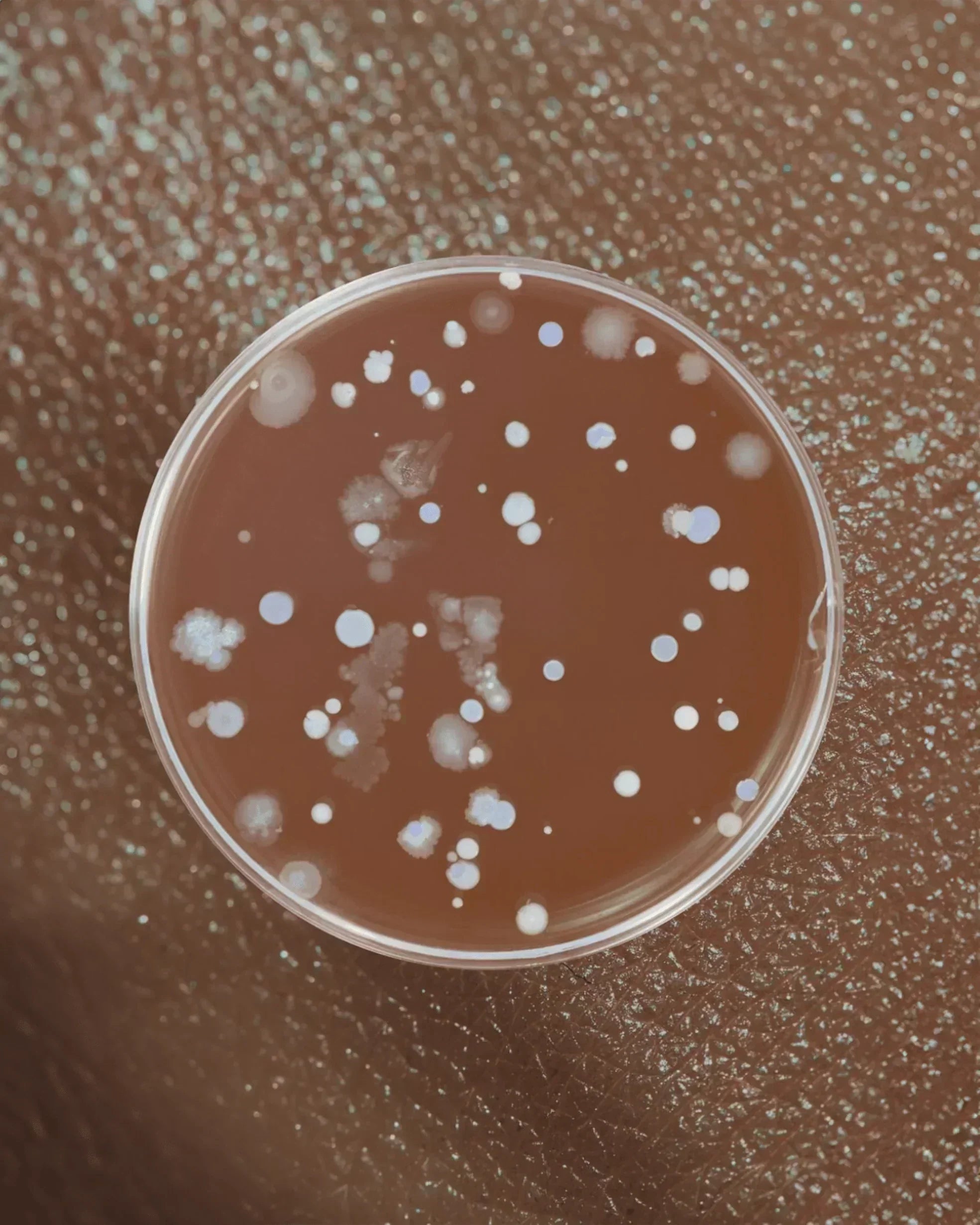 Vaginal Ecology 101: How to Keep Your Microbiome Healthy (And Why It Matters for UTIs) - GOODKITTYCO