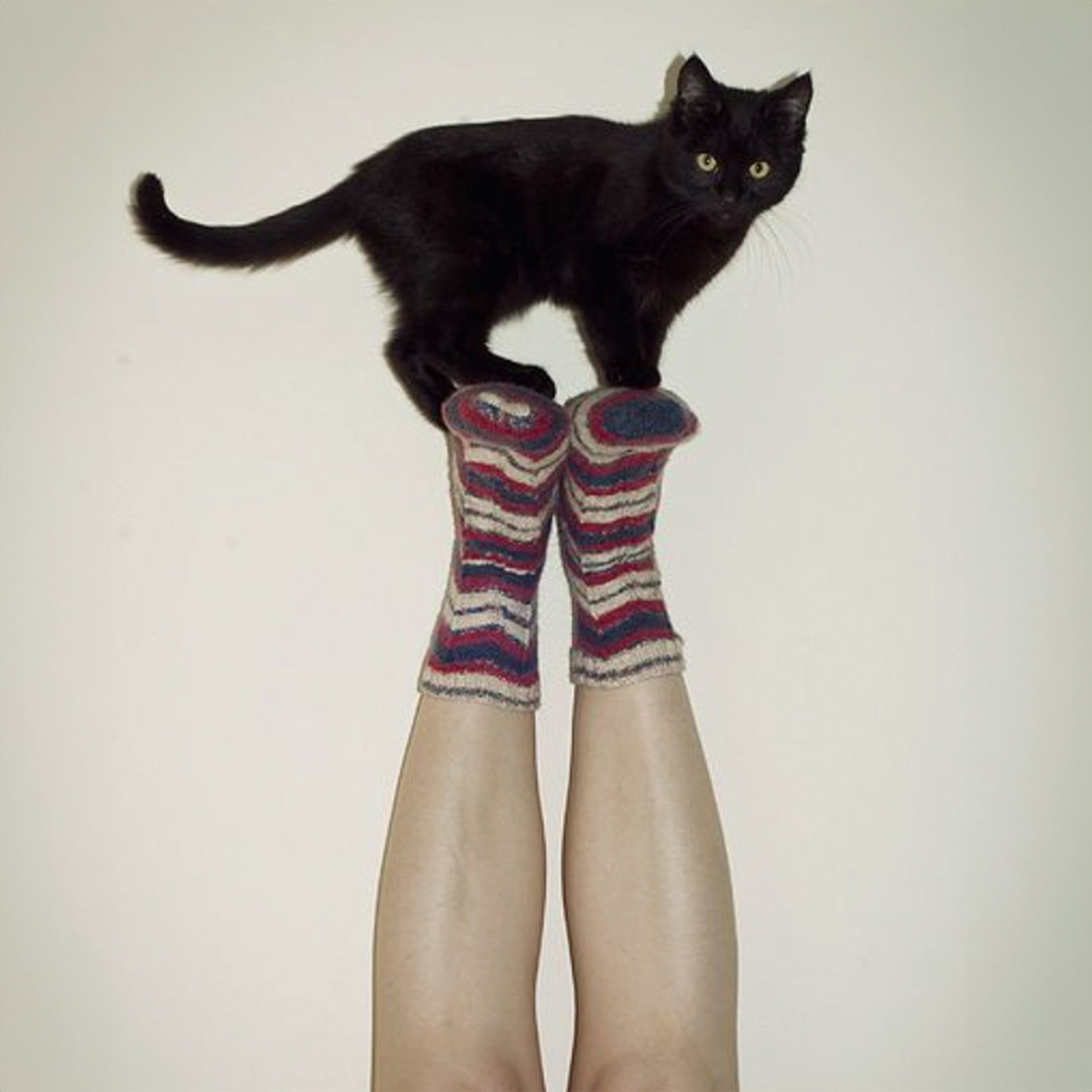 yea, your totally 6’ - GOODKITTYCO