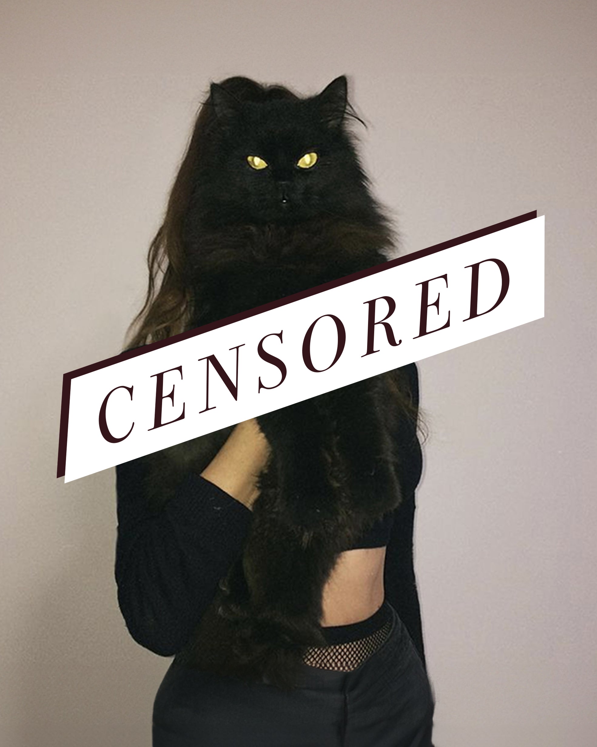 censHERship Part I: The Algorithm Blushes - GOODKITTYCO