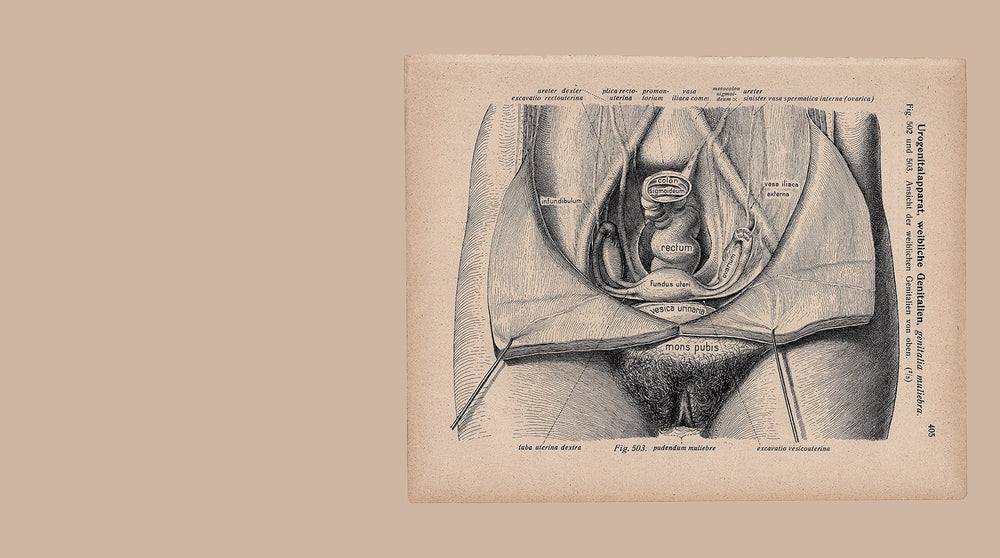 How to Look at Your Vulva: Good Kitty's Guide to Knowing Your Kitty