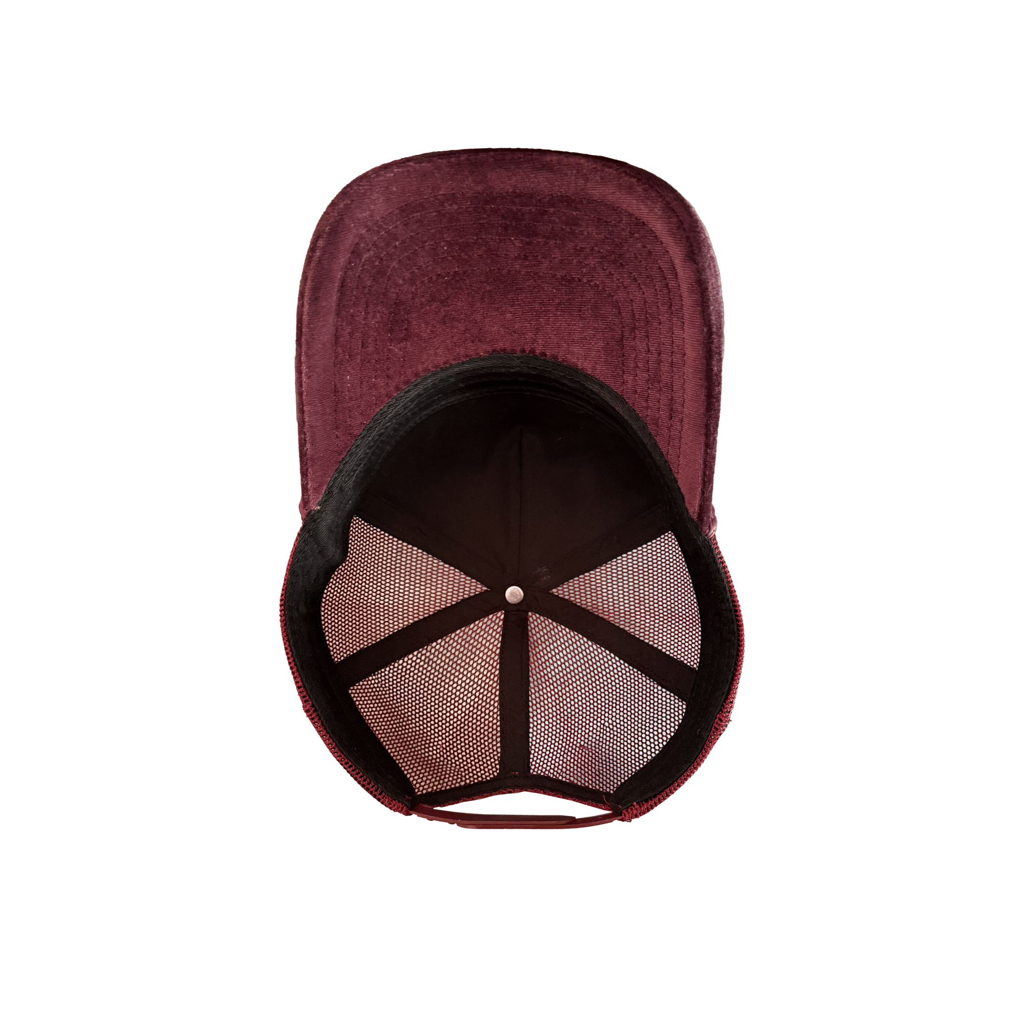 the trucker hat | UTI Prevention by GOODKITTYCO