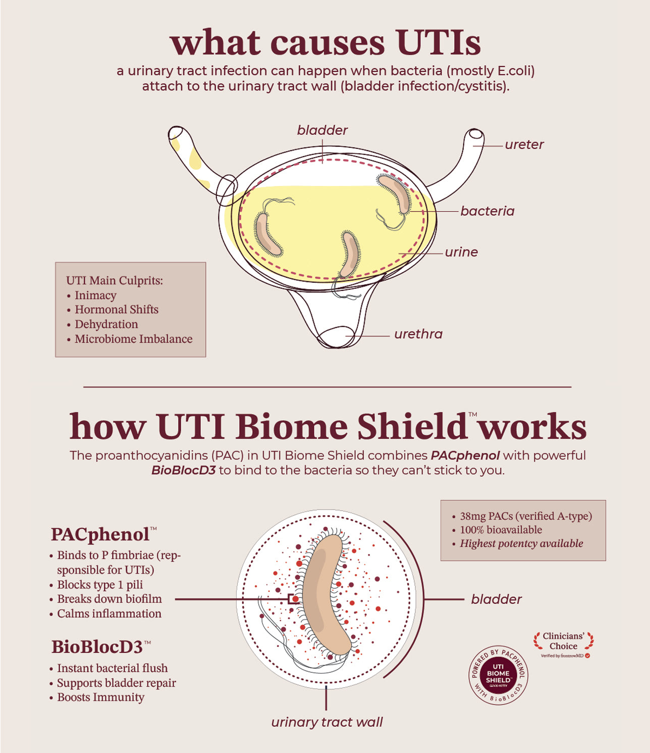 Diagram explaining UTIs and how UTI Biome Shield works on a white background
