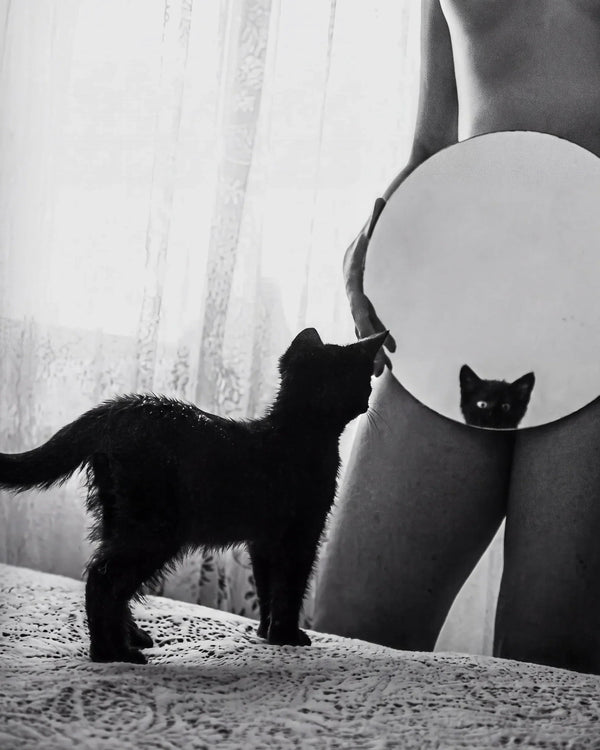 Yes, It's Good. No, It's Not For Cats. | The Good Kitty Origin Story