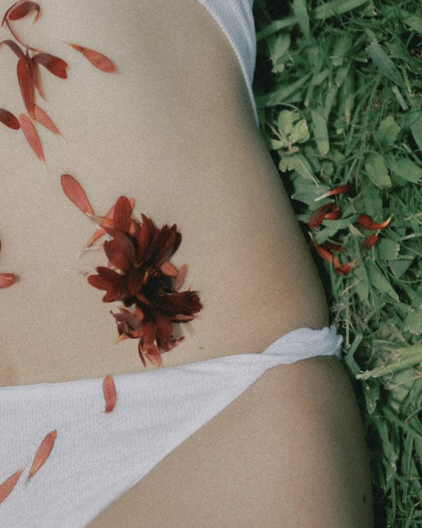 Your Bladder Health Starts in the Gut
