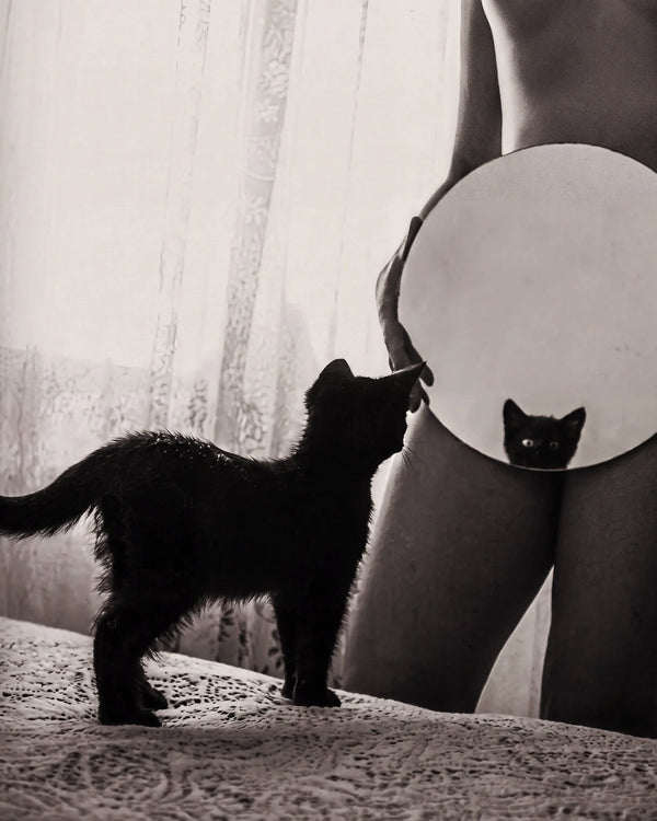 Yes, It's Good. No, It's Not For Cats. | The Good Kitty Origin Story