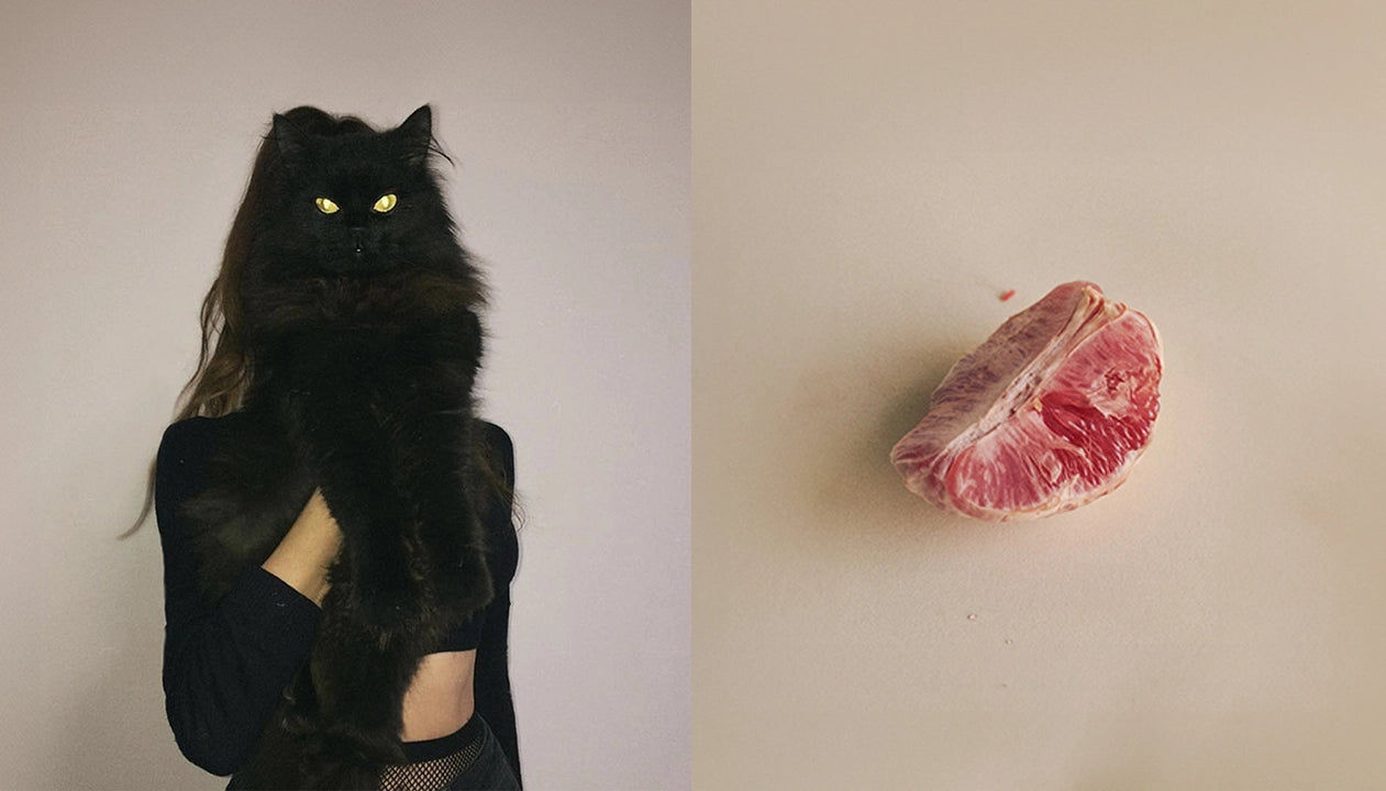 Black cat with glowing eyes on the left, and a cut grapefruit on a beige background on the right.