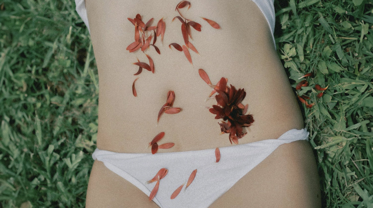 Your Bladder Health Starts in the Gut