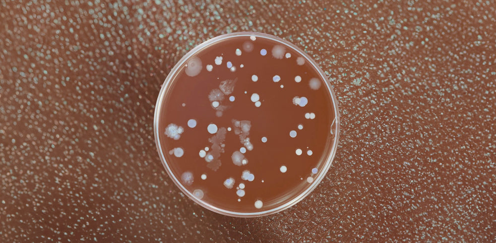 Vaginal Ecology 101: How to Keep Your Microbiome Healthy