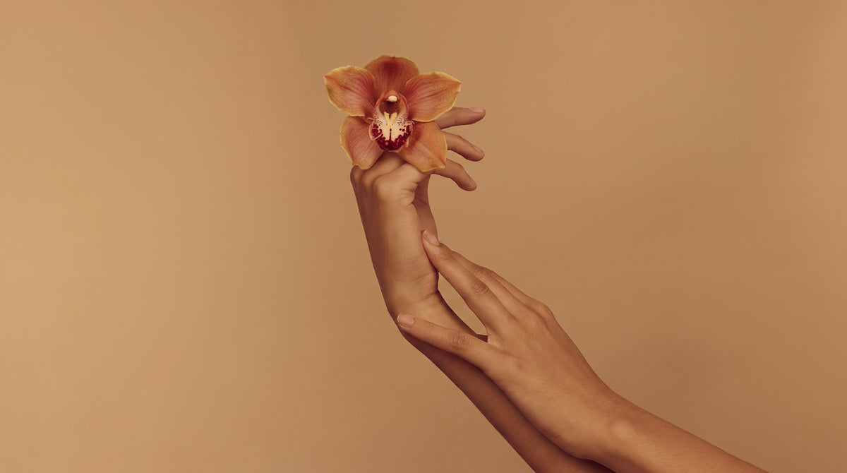 A close-up of two hands against a warm beige background, holding a single peach-colored orchid flower.