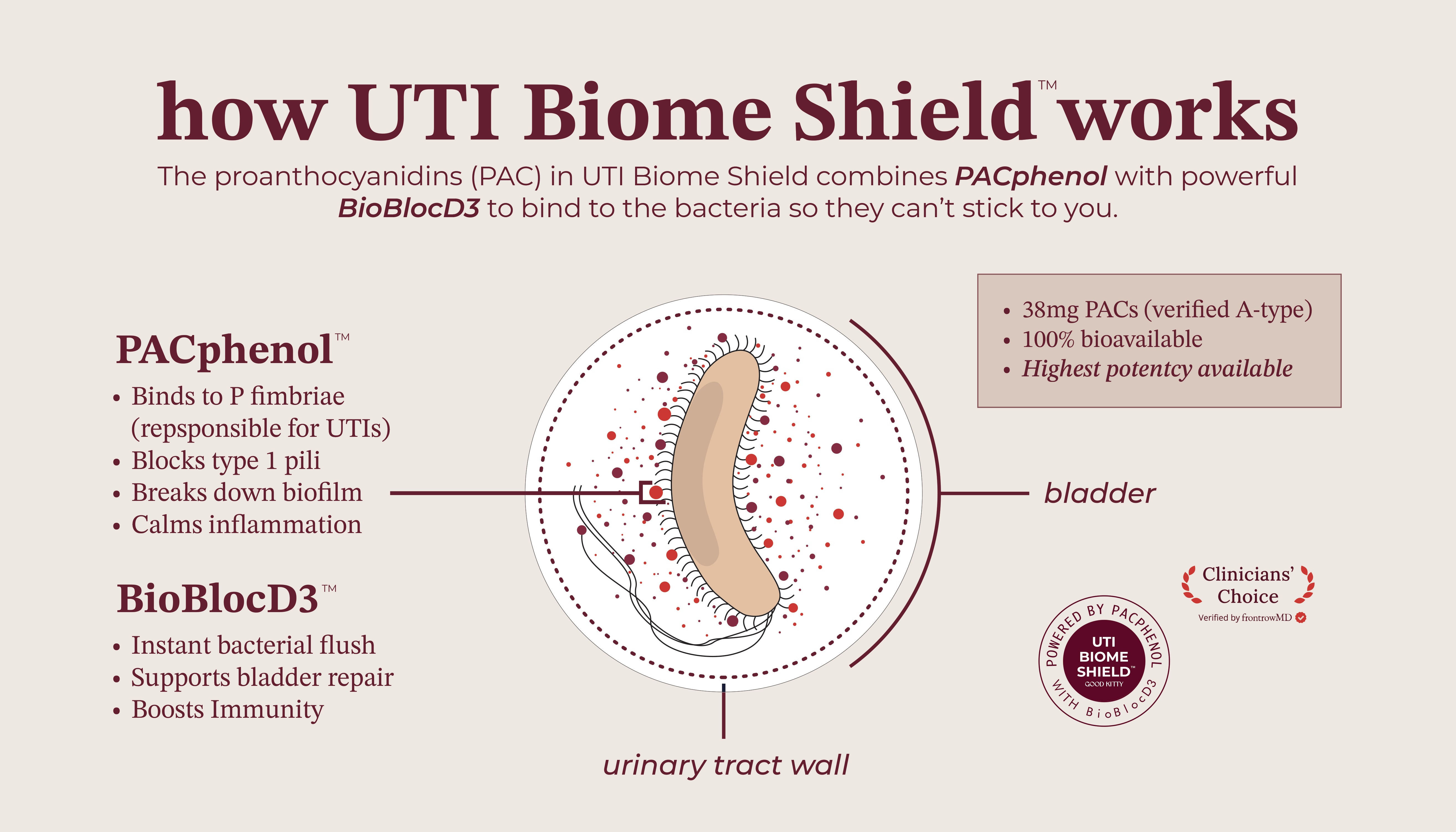 Diagram explaining how UTI Biome Shield works with text and labels on a white background.